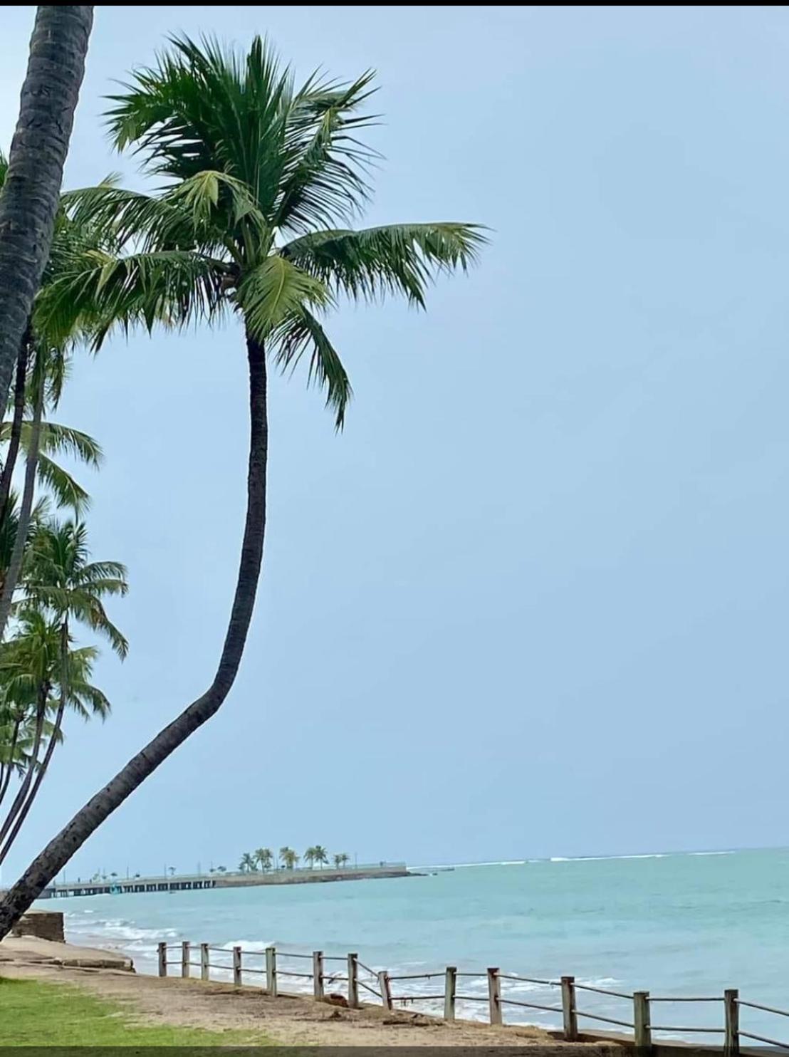 Lindo Apartamento De Frente Para A Praia De Pajucara มาเซโอ ภายนอก รูปภาพ